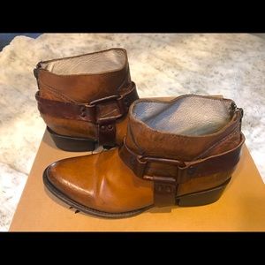 Freebird by Steven PHLOW